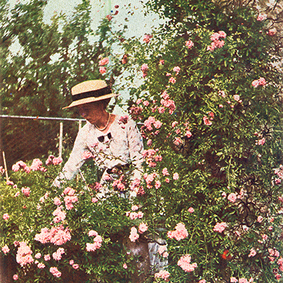 Kronprinsessan Margareta i trädgården på Sofiero