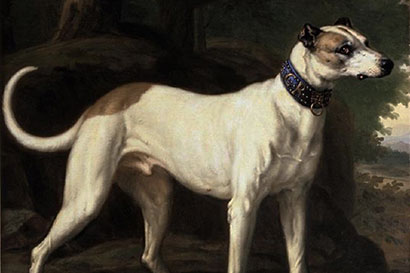 Karl XIs hund Turck 